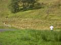 SDC11547.JPG